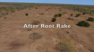 Bulldozer Root Rake