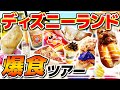 【爆食】これ食べとけば間違いない!!お手軽グルメを食べまくる1日!! / 東京ディズニーランド