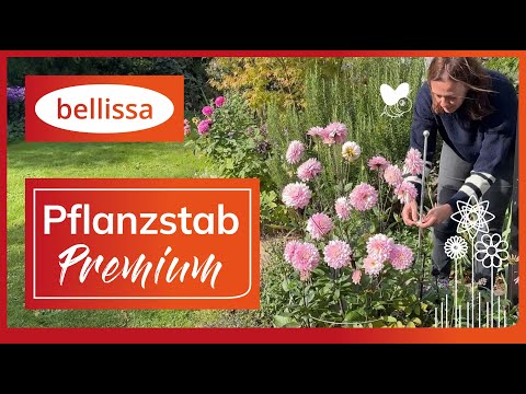 bellissa Pflanzstab PREMIUM - YouTube