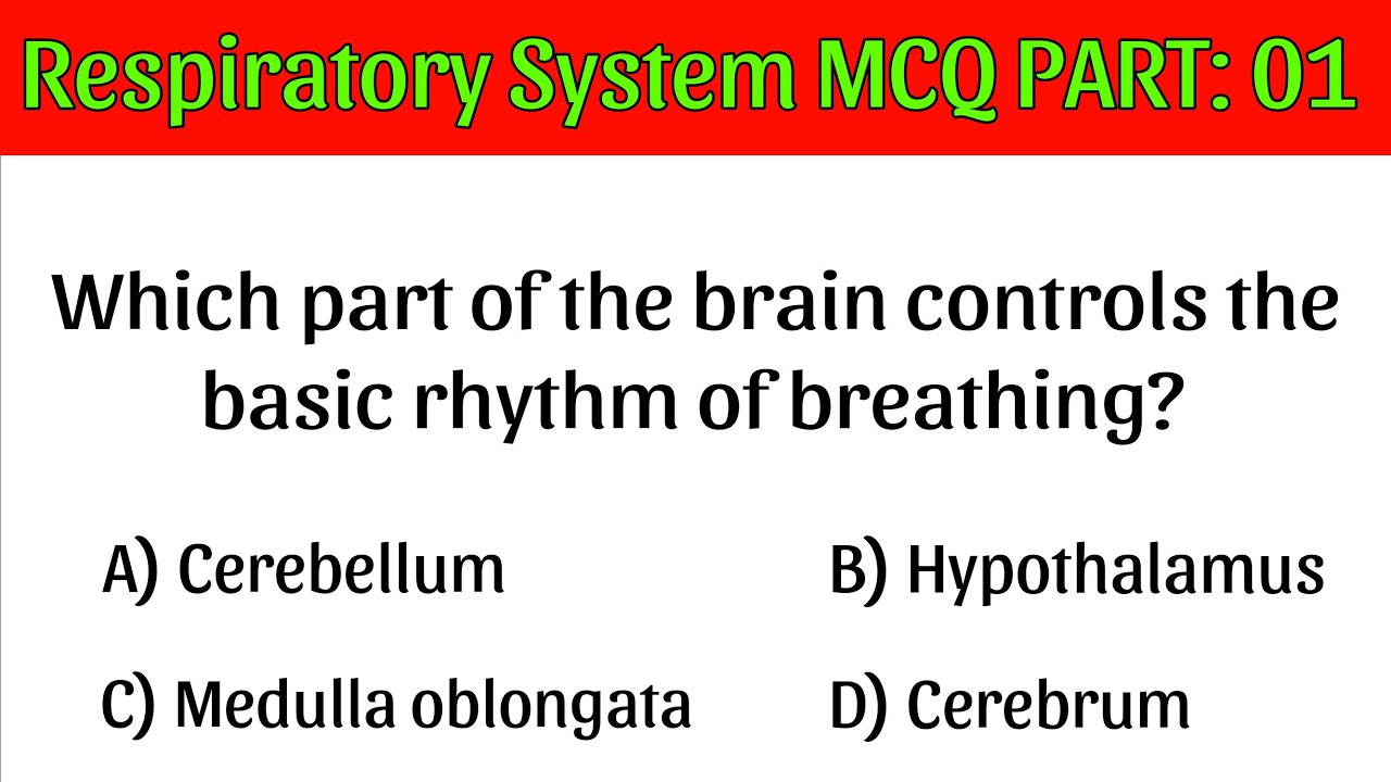 Breathing Patterns - Kanika's Nursing Academy