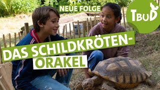 Sam und Sammy (Folge 124) | Tiere bis unters Dach | SWR Plus