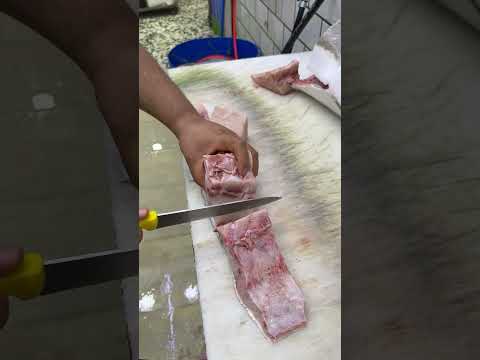 ماهي سكن فيله #explore #viralvideos