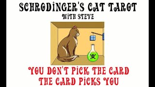 Schrodinger's Cat Reading - WHO is your energy attracting??