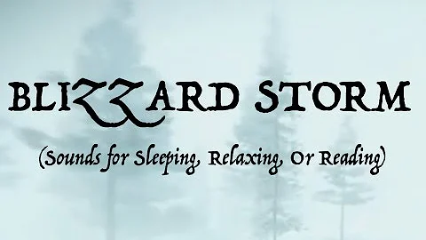 ❄️SOUNDS OF A BLIZZARD STORM (Sleep, Relax, Or Read)