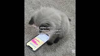 gene telefona bakıyorum; #ytdayibenionecikarnolur #blackpink #lifeisbutadream #azra #kpop