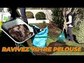 Ravivez votre pelouse pour le printemps  terreautage de mars  que faire dans mon jardin 