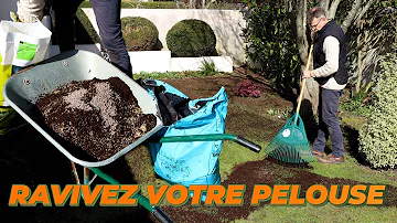 Comment préparer sa pelouse pour le printemps