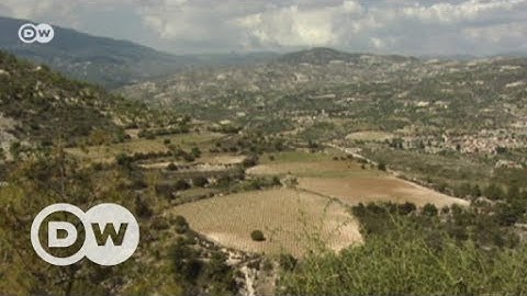 Cyprus, the island of love | DW English