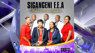 Simizindwangu ziphephezela by Sigangeni F E A