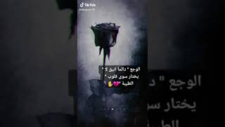 العين تبكي من هذه الحياه