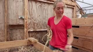A Focus on the Packshed at Mighty Food Farm