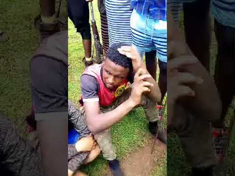 Argiteree Amaa Wbo Wabii Sabaa Nuuf Jiradhuu