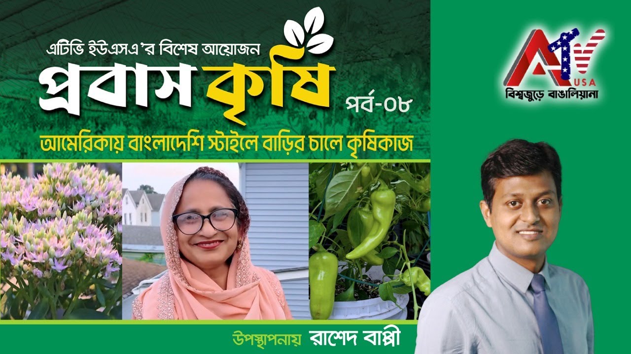 আমেরিকায় বাংলাদেশি স্টাইলে বাড়ির চালে কৃষিকাজ | ATV USA HD | US Agriculture
