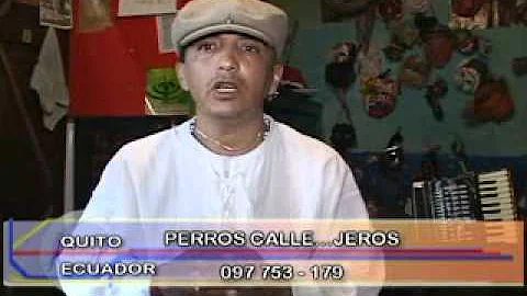 RTU Emprendedores: Hector Cisneros: Perros Calleje...