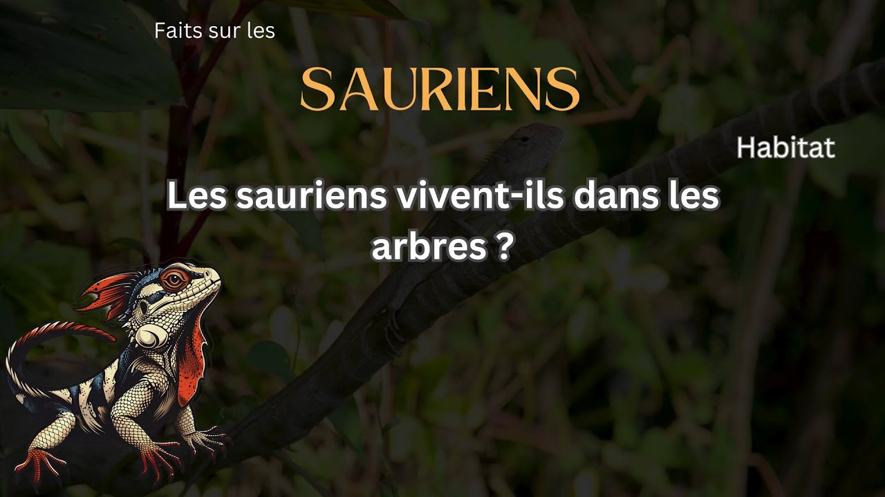 Fait sur le Lézard 34 Les sauriens viventils dans les arbres? YouTube — free download