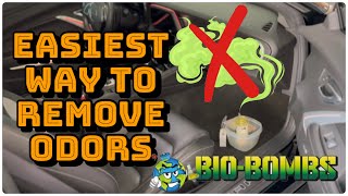 EASIEST Way To Remove Odors From Your Car- Non-Toxic & Effective!