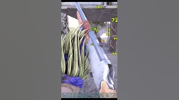 When taming goes wrong in ARK: Survival Evolved.