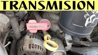 preocuparse Por qué no Señor Como comprobar nivel de aceite transmission automatica y manual - YouTube