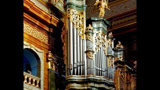 XAVER VARNUS PLAYS LISZT IN CONCERT IN THE CATHEDRAL OF ORADEA IN ROMANIA