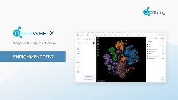 BBrowserX: Enrichment Test