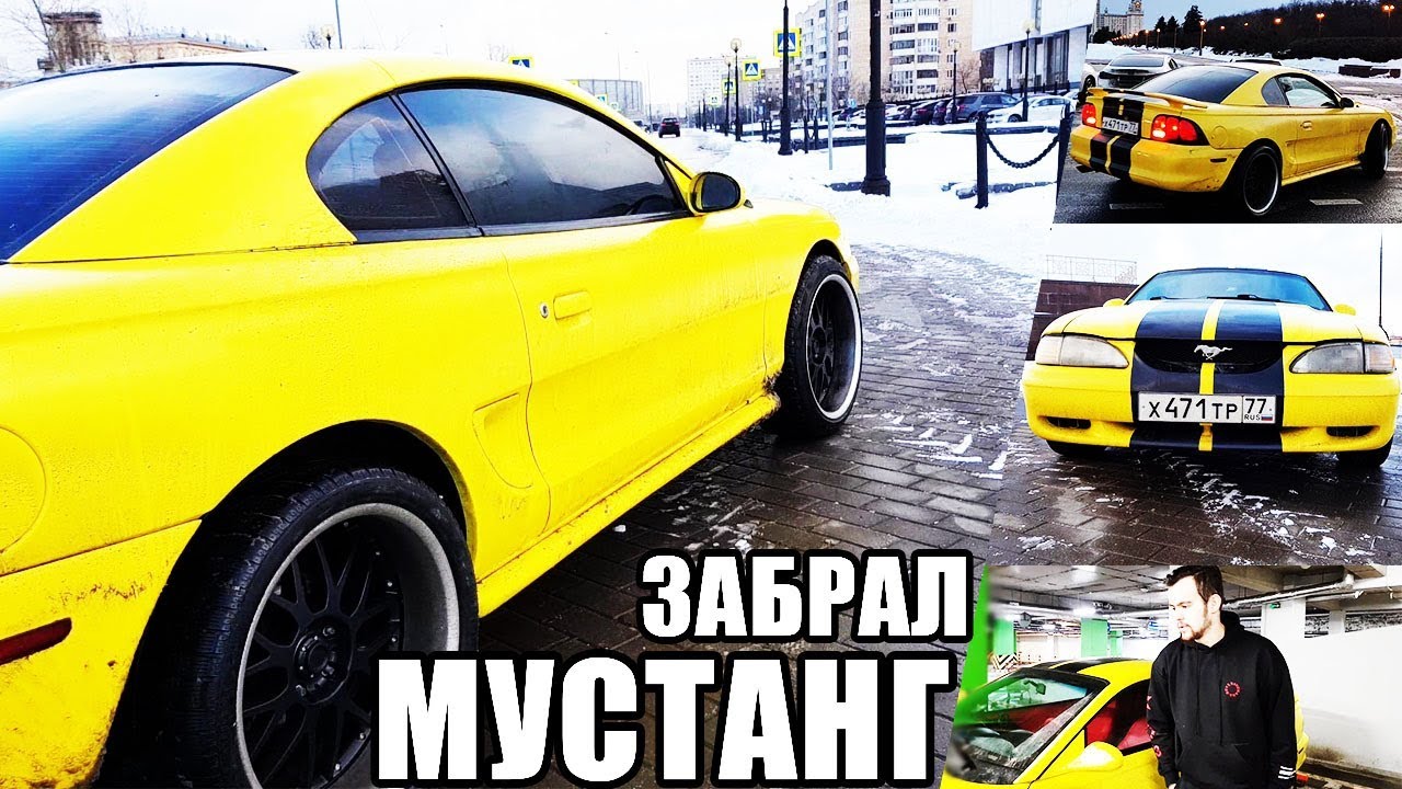 Игры машины мустанг