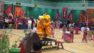Publication Date: 2025-12-20 | Video Title: 東華三院王余家潔紀念小學A 20251220