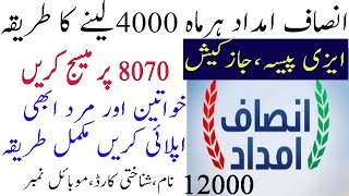 Insaf Imdad se 4000 har Maheeny leny ka Tarika Urdu How to Apply imdad insaf screenshot 3