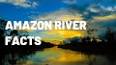 The Hidden Wonders of the Amazon Rainforest ile ilgili video