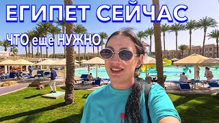 видео: Египет 2024. ПОЧТИ ИДЕАЛЬНЫЙ‼️Beach Albatros Resort 4*. ПЕРВАЯ ЛИНИЯ ТЕРРИТОРИЯ ПЛЯЖ. Хургада сейчас картинка: Египет 2024. ПОЧТИ ИДЕАЛЬНЫЙ‼️Beach Albatros Resort 4*. ПЕРВАЯ ЛИНИЯ ТЕРРИТОРИЯ ПЛЯЖ. Хургада сейчас