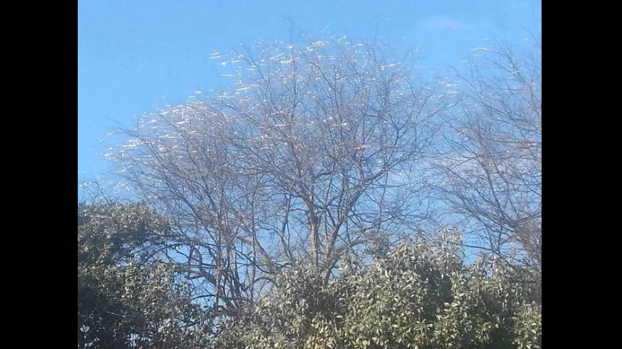 Hey Hey (Sexual Prevention Song for Children)