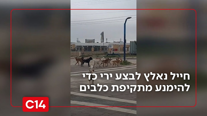 כשל אבטחתי חריג: חייל נאלץ לבצע ירי כדי להימנע מתקיפת כלבים