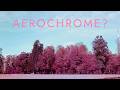 Can You Fake Aerochrome? Shooting Lomography Purple for Infrared-Style Film Photos