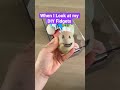 When I Look at My DIY Fidget Toys! 👀 Mrs. Bench Mp3 Song