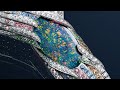 Most iconic opals jewellery from 2023 high jewellery collections