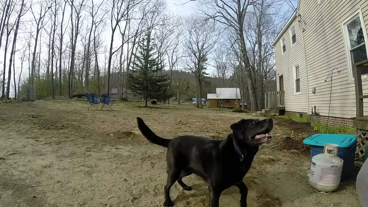 Left Handed Disc Golf Forehand YouTube