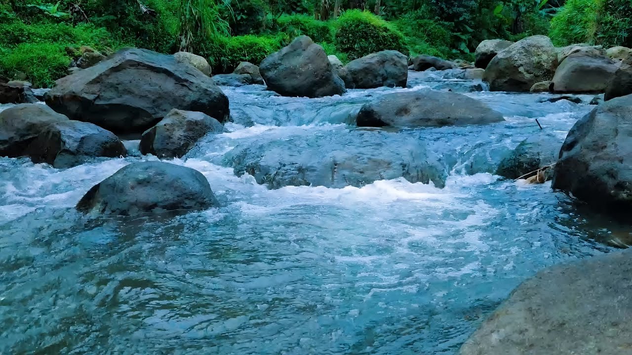 Peaceful River Flow with Gentle Bird Sounds for Deep Sleep, Meditation and Relaxation | 3 Hours