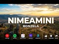 NIMEAMINI BONZELA OFFICIAL MUSIC AUDIO