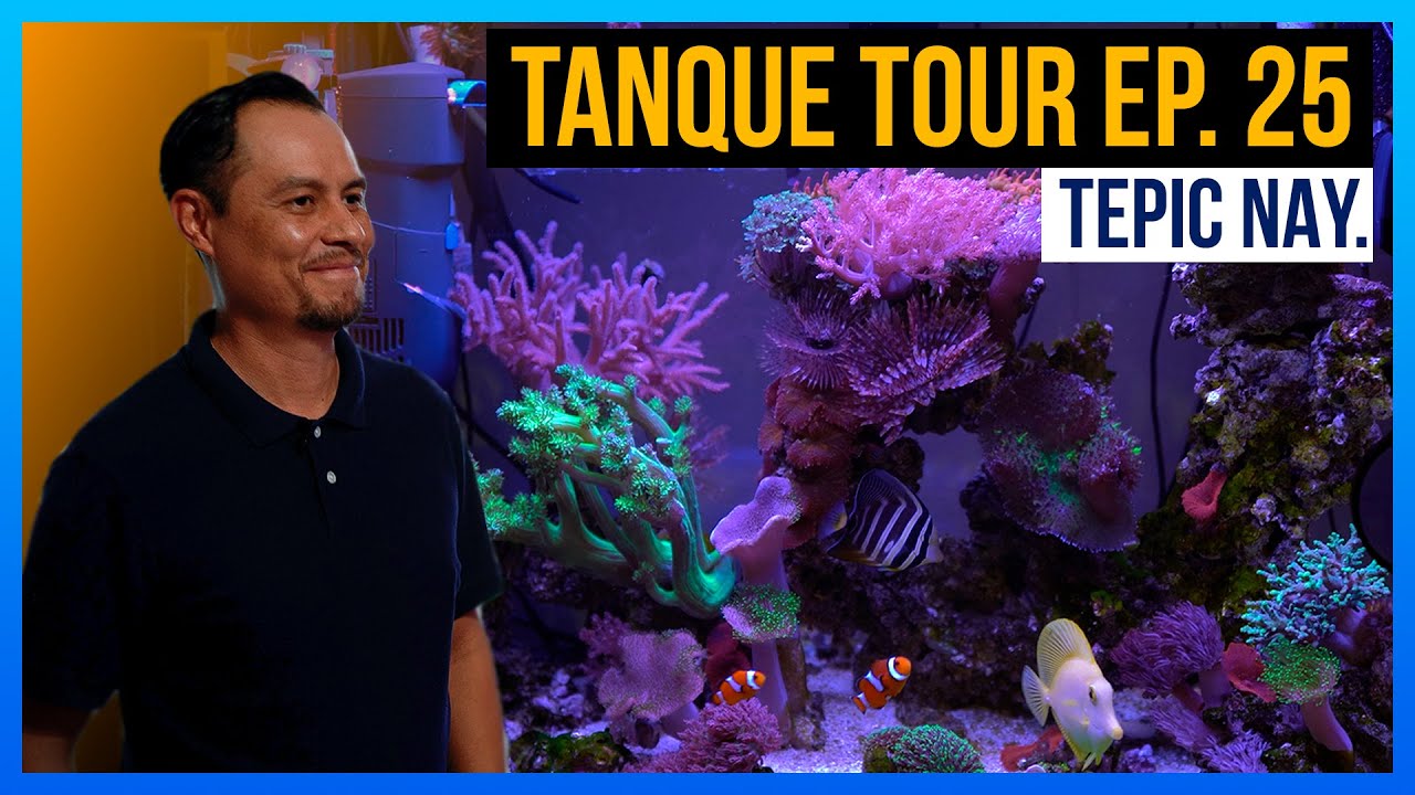 TANQUE TOUR Ep. 25 / Gerardo Alatorre