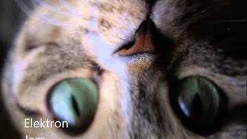 Elektron/ Korg Jam Session (Machinedrum, Analog Keys, Octatrack, Volca Keys) - Soma Collector