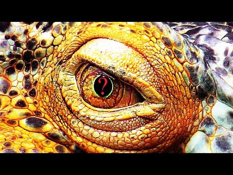 Самые популярные заблуждения о динозаврах