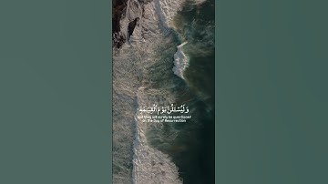 القارئ: عبدالرحمن مسعد..العنكبوت، الأية ١٣🪷