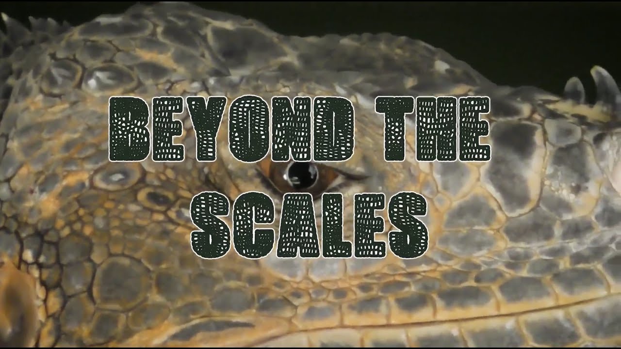 Beyond the Scales - YouTube