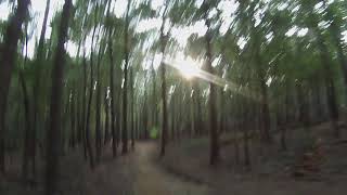 Lake Crabtree County Park - New Trails