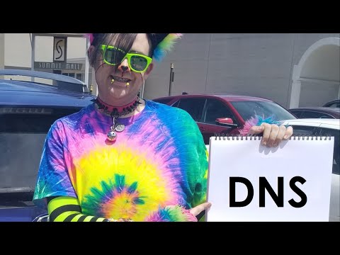 A Cat Explains DNS