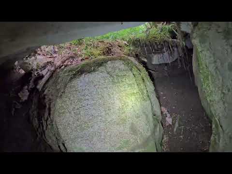 I Found A New Cave In The Woods