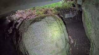 I Found A New Cave In The Woods