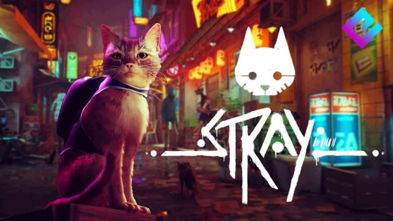 O JOGO DO GATINHO :3 - STRAY [PS5] #1 