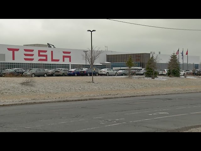 Nearly 300 to be laid off by Tesla in Buffalo