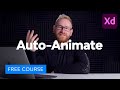 Adobe XD Auto-Animate: From Beginner to Advanced