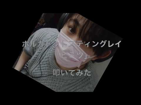 ポルカドットスティングレイ「ヒミツ」叩いてみた！　Drum Covered